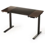 Electric Desk